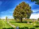 Paul Cemetery